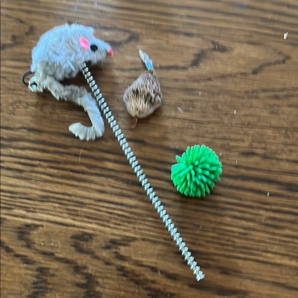 Colorful Cat Toy Set - Picture 6 of 9
